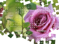 2013, Kalendarz, Grafika, Róże
