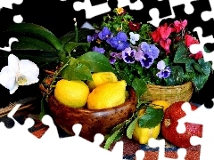 Granat, Cytryny, Doniczka, Kwiaty
