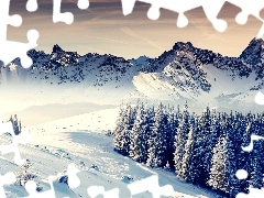 Góry, Drzewa, Zima, Śnieg, Ośnieżone