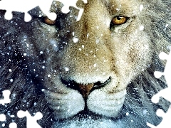 Lwa, Śnieg, Pysk