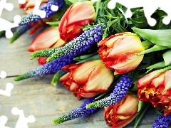 Tulipany, Łubin, Kwiaty