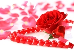 Płatki rózy, Czerwona róża, Czerwone perły, Serce