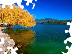 Drzewo, Jezioro