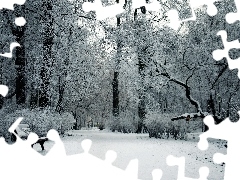 Zima, Ławka, Park, Drzewa