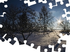 Promienie słońca, Drzewa, Zima, Śnieg