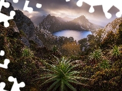 Góry, Tasmania, Jezioro Oberon, Park Narodowy Southwest, Australia, Skały, Rośliny