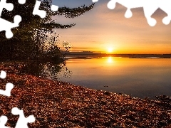 Wschód słońca, Jezioro Lake Winnipesaukee, Plaża Leavitt Beach, Stany Zjednoczone, Drzewa, Stan New Hampshire