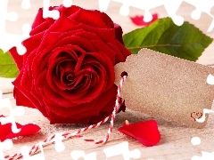 Róża, Karteczka, Czerwona