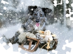 Sanki, Śnieg, Zima, Pies, Zabawka, Border collie, Umaszczen