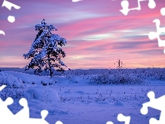 Zima, Region Värmland, Ośnieżone, Gmina Arvika, Szwecja, Wschód słońca, Drzewo