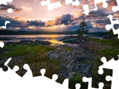 Jezioro, Norwegia, Drzewa, Gmina Ringerike, Zachód słońca