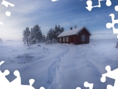 Zima, Drzewa, Mgła, Las, Śnieg, Gmina Ringerike, Norwegia, Dom