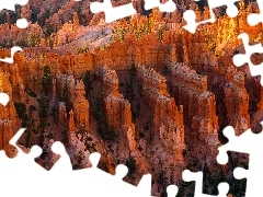 Kanion, Drzewa, Stan Utah, Park Narodowy Bryce Canyon, Stany