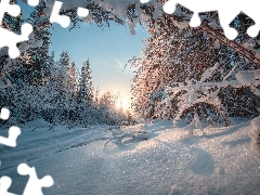 Ural, Zima, Promienie słońca, Las, Droga, Kraj Permski, Rosja, Drzewa