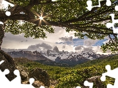 Góry, Patagonia, Andy, Promienie słońca, Góra Fitz Roy, Argentyna, Park Narodowy Los Glaciares, Chmury, Drzewo, El Chalten