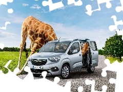 Opel Combo, Żyrafa, Śmieszne, 2018