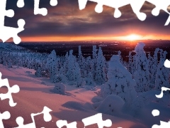Drzewa, Zachód słońca, Finlandia, Zima, Wzgórze Sallatunturit