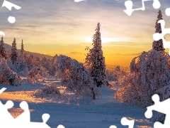 Świerki, Zachód słońca, Zima, Góry Ural, Rosja