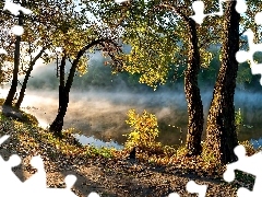 Jesień, Mgła, Brzeg, Drzewa, Rzeka