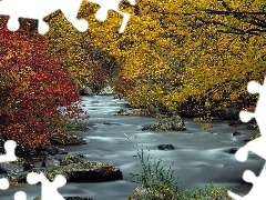 Jesień, Kamienie, Drzewa, Rzeka