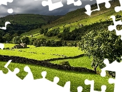 Kamienne, Park Narodowy Yorkshire Dales, Góry, Budynki, Łąka, Dolina Swaledale, Anglia, Owce, Murki, Drzewa