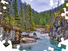 Skały, Prowincja Kolumbia Brytyjska, Strumień Tokumm Creek, Drzewa, Rzeka, Park Narodowy Kootenay, Kanada, Kamienie, Góry, Park prowincjonalny Marble Canyon