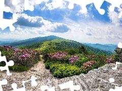 Stan Tennessee, Szczyt Roan Mountain, Skały, Góry Appalach