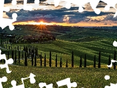 Toskania, Włochy, Wzgórza, Drzewa, Wschód słońca, Chmur