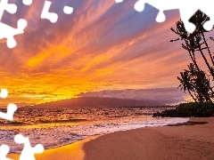 Morze, Hawaje, Zachód słońca, Plaża, Palmy, Wyspa Maui