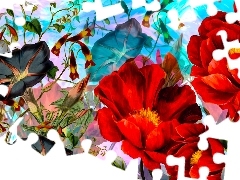 Kwiaty, Grafika, Powoje, Czerwone, Niebieskie