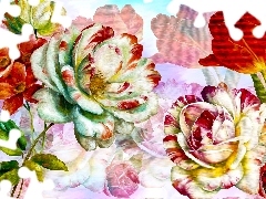 Kwiaty, Róże, Grafika, Tulipan
