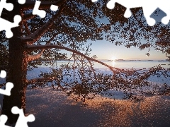 Jezioro Ładoga, Drzewo, Karelia, Sosna, Zima, Promienie sł