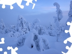 Laponia, Finlandia, Mgła, Drzewa, Zima