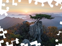 Drzewa, Sosny, Korea Południowa, Góry, Prowincja Jeolla Północna, Wschód Słońca, Park Prowincjonalny Daedunsan, Mgła