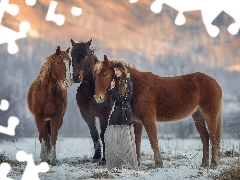 Trzy, Dziewczyna, Śnieg, Konie