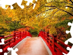 Most, Czerwony, Jesień, Drzewa