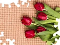 Tulipany, Czerwonych, Tulipanów, Pięć