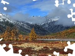 Góry Kołymskie, Jesień, Mgła, Pies, Magadan, Rosja, Jezi