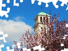 Drzewo, Kwitnące, Wieża, Kościoła