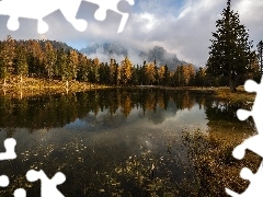 Jezioro Antorno, Dolomity, Region Cadore, Las, Góry, Drzewa, Włochy