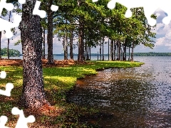 West Point Lake, Drzewa, Floryda, Stany Zjednoczone, A.L. Anderson Park, Jezioro