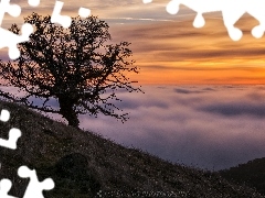 Wzgórza, Mgła, Wschód słońca, Drzewo