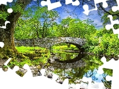 Most, Kamienie, Drzewa, Rzeka