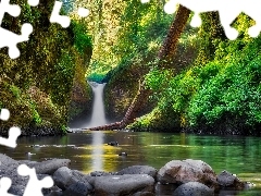 Eagle Creek, Wodospad Punch Bowl Falls, Rzeka Kolumbia River, Kamienie, Stan Oregon, Stany Zjednoczone, Drzewa, Roślinność, Skały