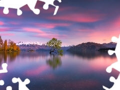 Drzewo, Góry, Jezioro Wanaka, Nowa Zelandia, Zachód słoń