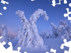 Ośnieżone, Śnieg, Laponia, Drzewa, Zima, Rezerwat Valtavaara, Finlandia
