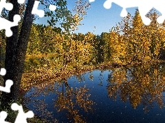 Jesień, Odbicie, Drzewa, Jezioro