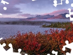 Jezioro Jack London, Góry Kołymskie, Drzewa, Czerwone, Obwód magadański, Rosja, Mgła, Kołyma, Krzewy