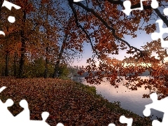 Jesień, Drzewa, Dąb, Rzeka