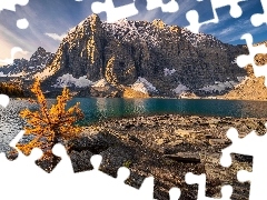Drzewo, Jezioro Moraine, Alberta, Kanada, Park Narodowy Banff, Góry